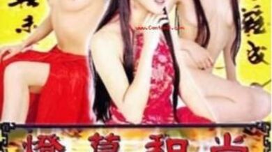 香港三级片第一流氓灯草和尚之素女经.